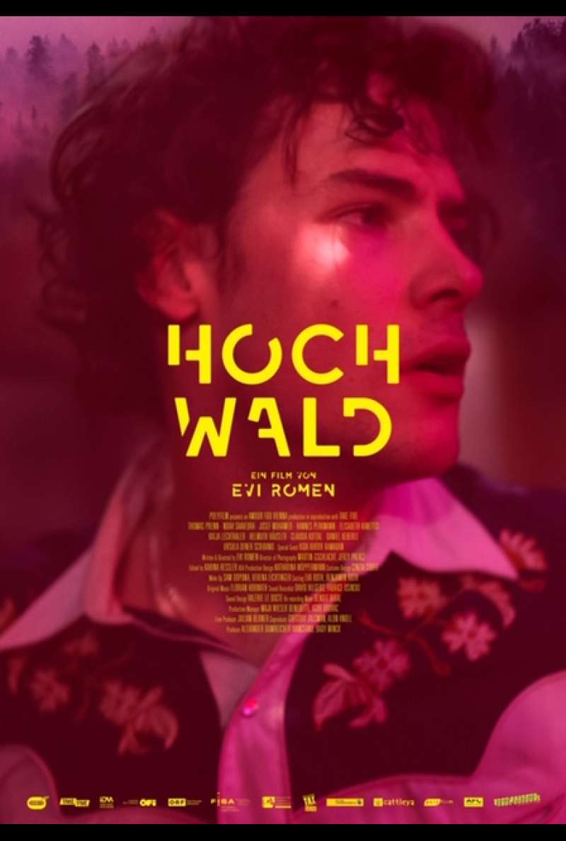 Filmstill zu Hochwald (2020) von Evi Romen