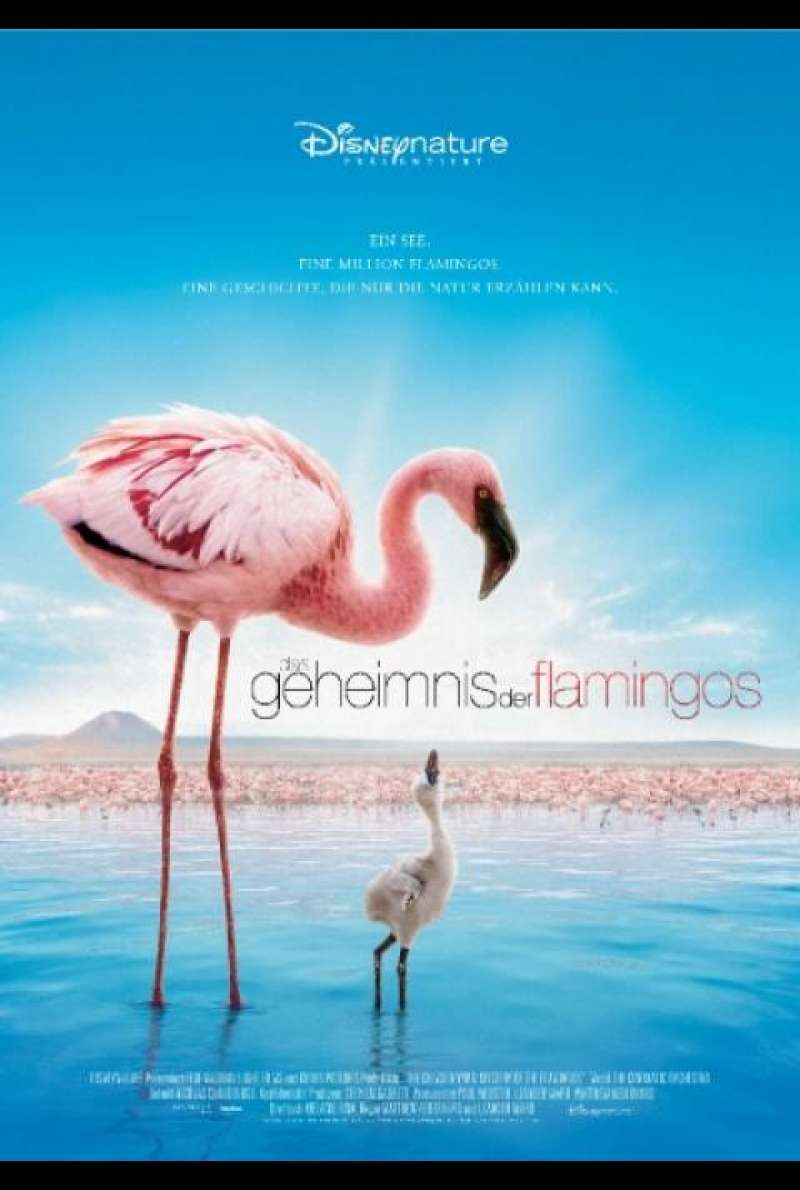 Das Geheimnis der Flamingos - Filmplakat