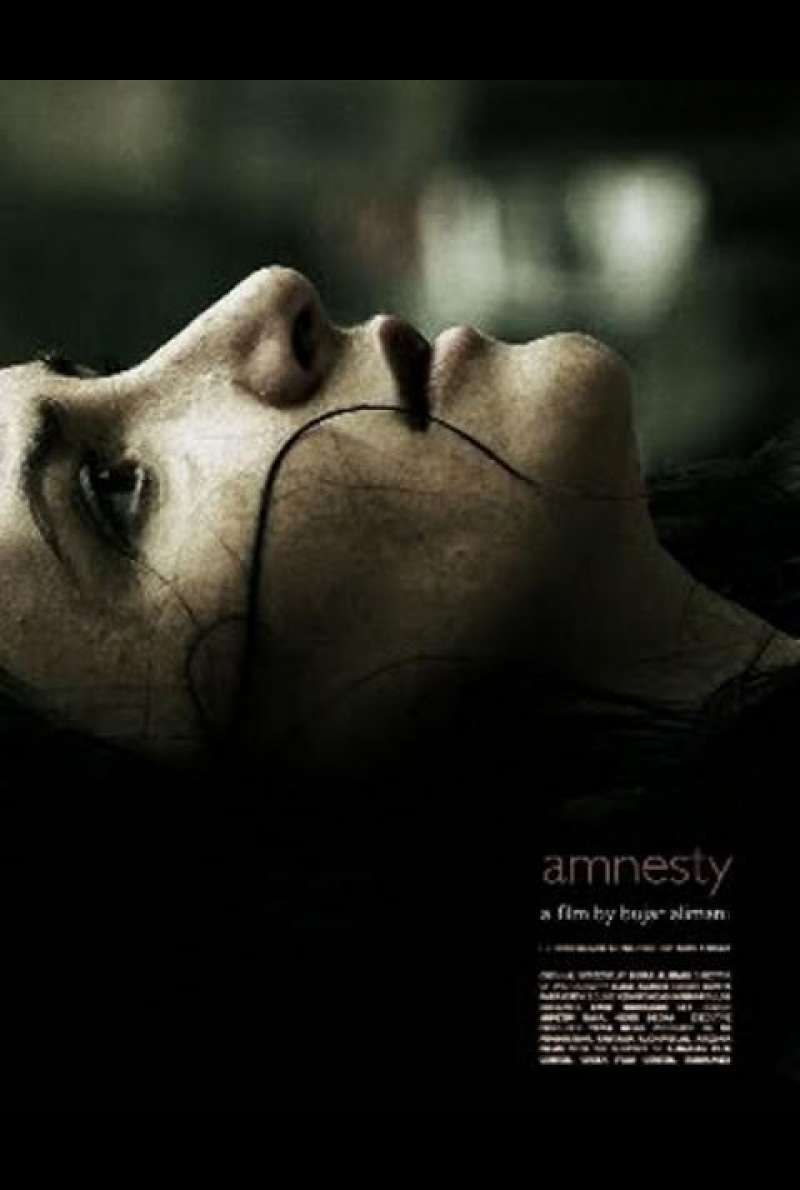 Amnesty - Filmplakat (INT)