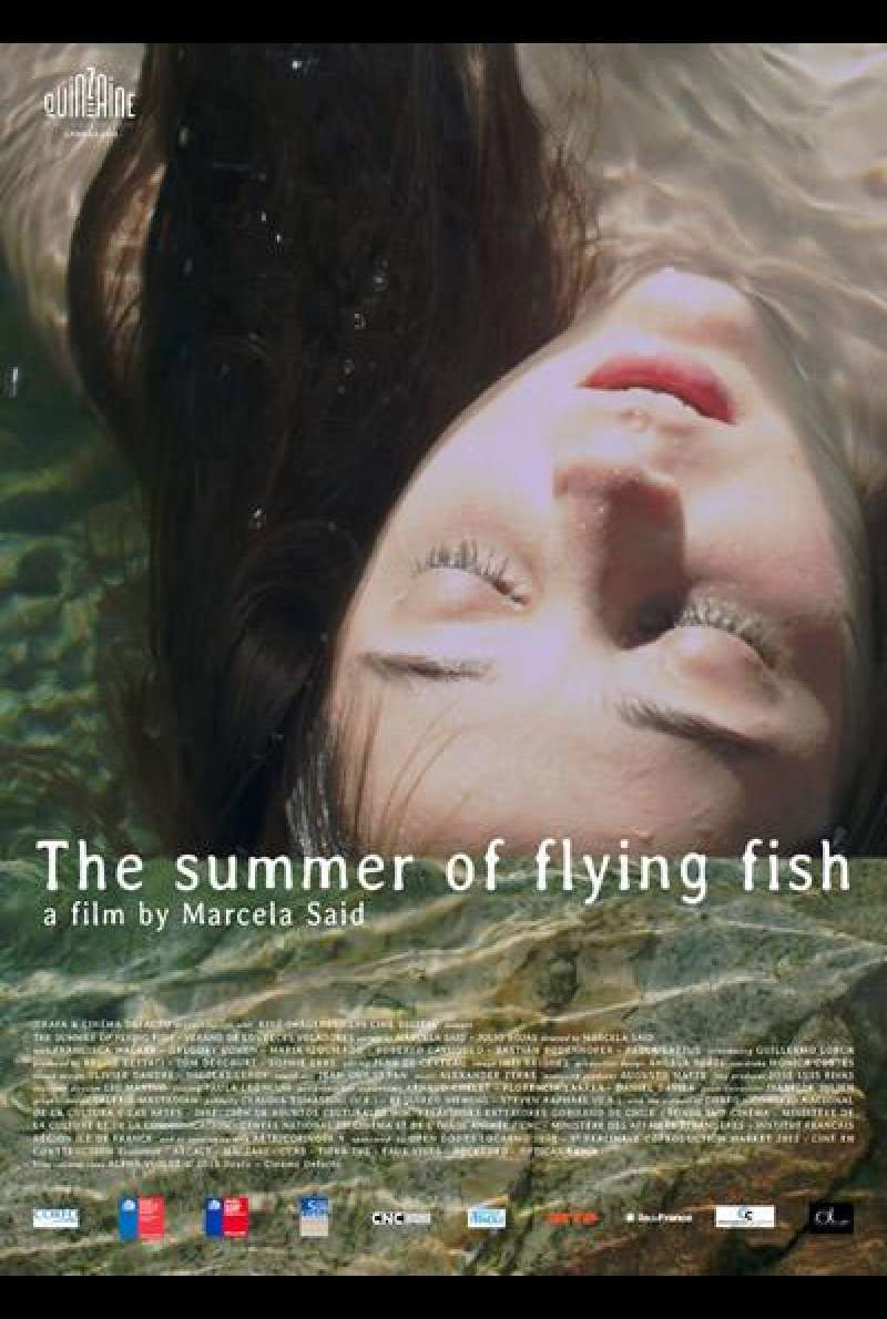 Der Sommer der fliegenden Fische - Filmplakat