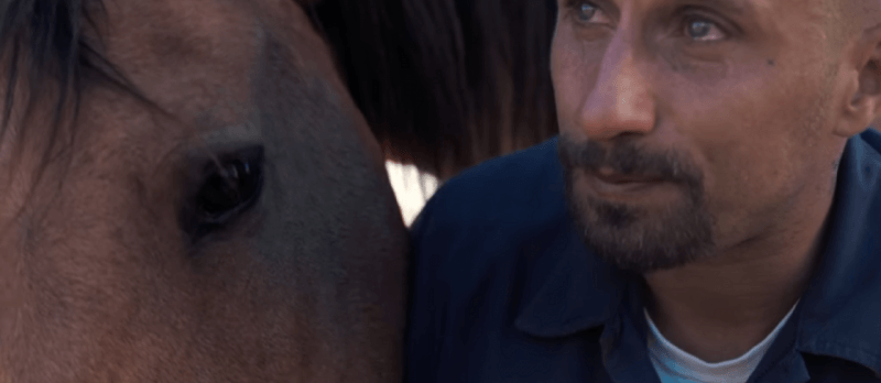 Mustang (2019) von Laure de Clermont-Tonnerre