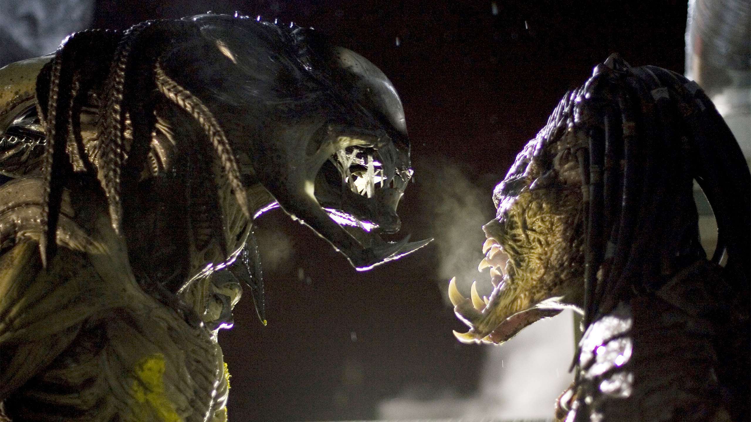download alien vs predator 2022 trailer