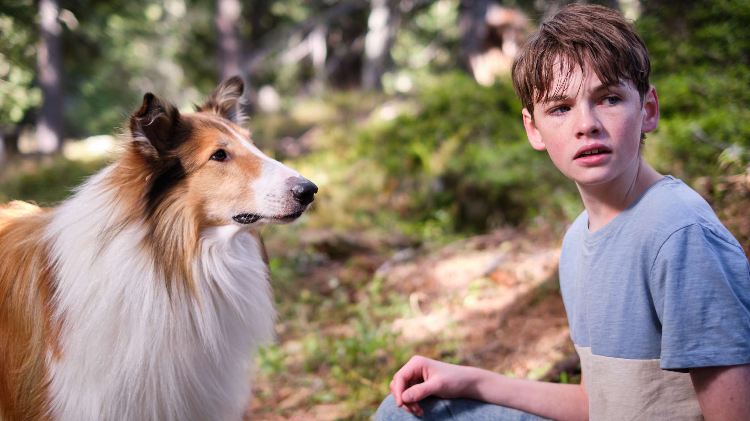 Lassie Ein Neues Abenteuer 2023 Film Trailer Kritik 