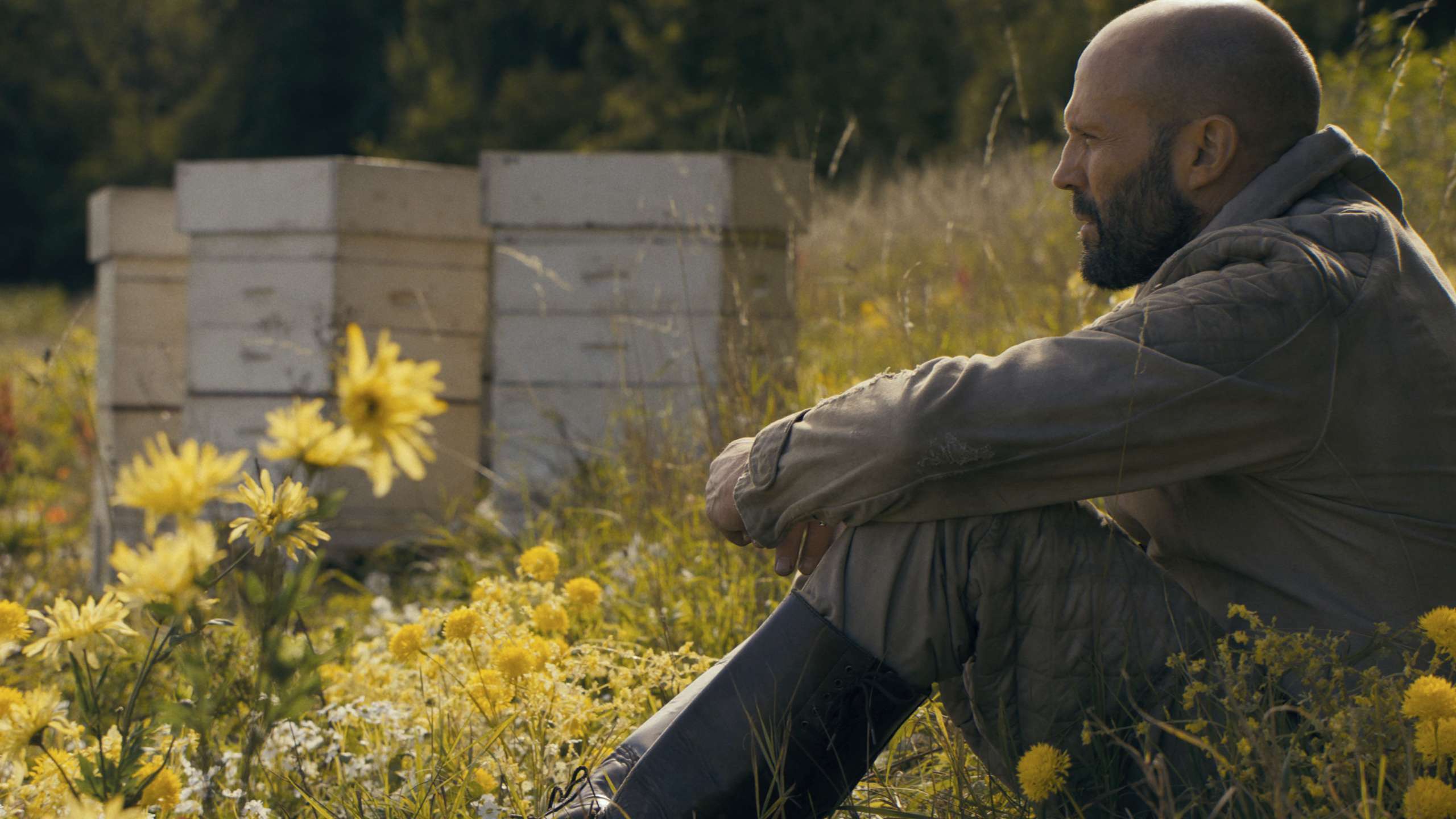 The Beekeeper (2024) Film, Trailer, Kritik