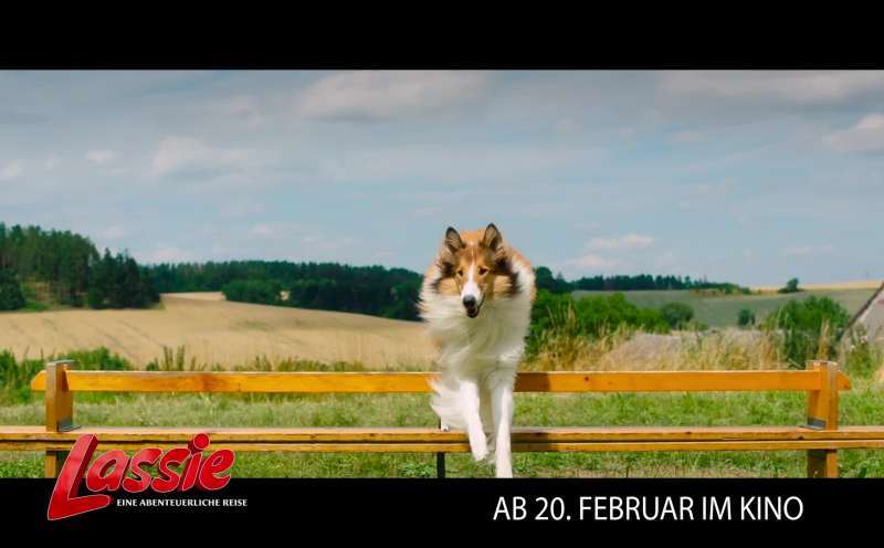 Lassie Eine Abenteuerliche Reise 2020 Film Trailer Kritik