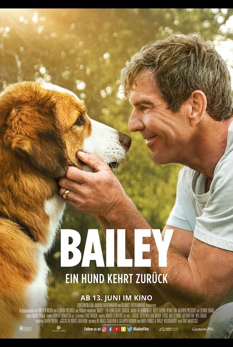 Bailey Ein Hund kehrt zurück (2019) Film, Trailer, Kritik